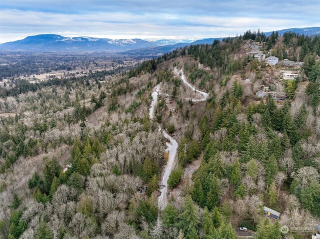 4220 Brays Way, Bellingham, WA 98226 - aerial view of a mountain backdrop