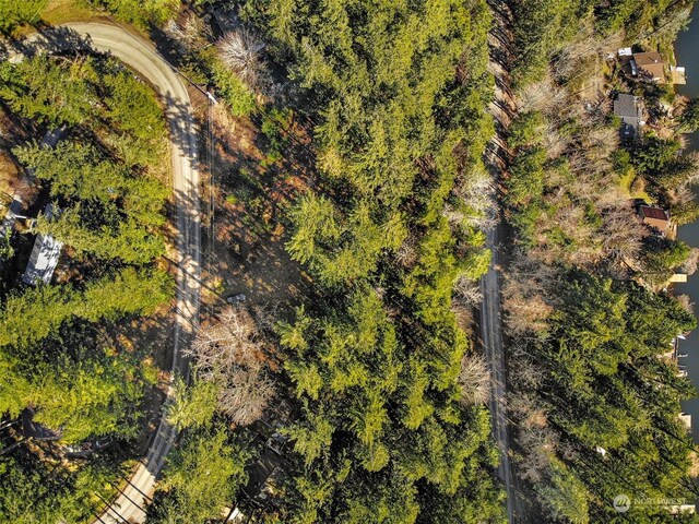 4220 Brays Way, Bellingham, WA 98226 - bird's eye view