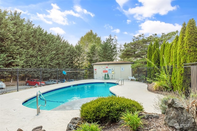 view of pool featuring a patio area