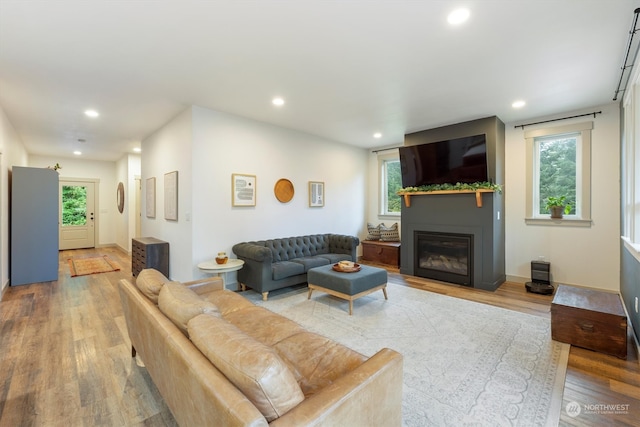 living room featuring light hardwood / wood-style floors and a wealth of natural light