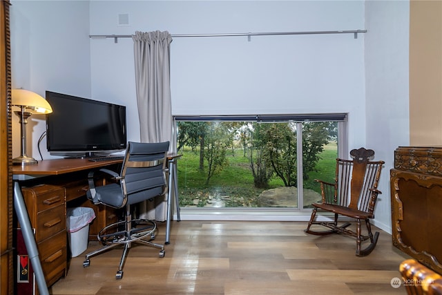 office featuring wood-type flooring