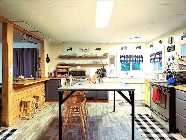 kitchen featuring light wood-style floors, stainless steel appliances, light countertops, and a sink