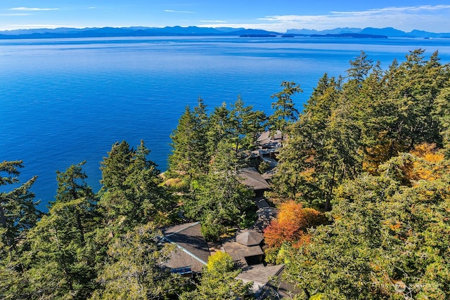 aerial view featuring a water and mountain view