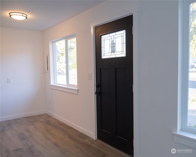 entrance foyer with wood-type flooring