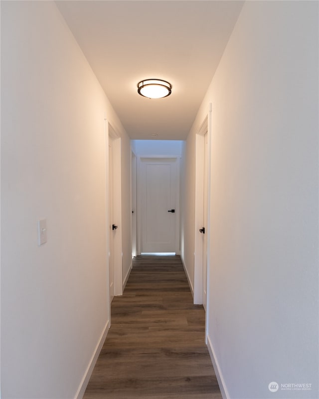 hallway featuring dark hardwood / wood-style floors