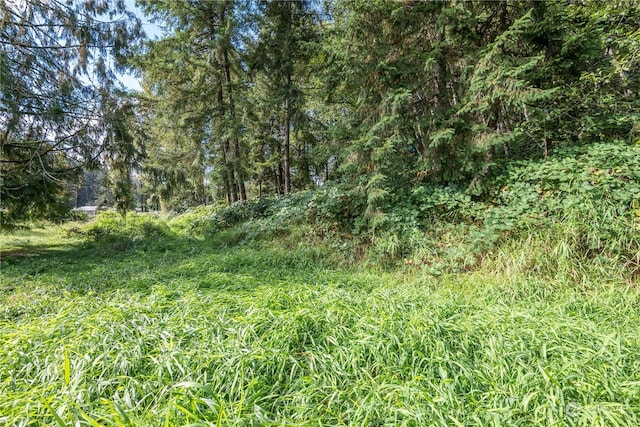 0 Mcgreary Rd, Kelso, WA 98626 - photo 1