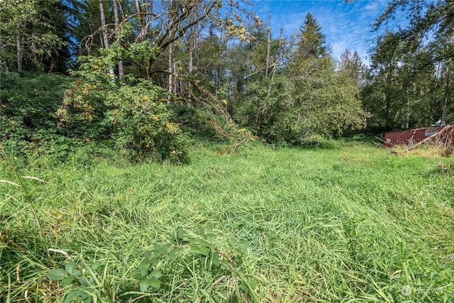 0 Mcgreary Rd, Kelso, WA 98626 - photo 14