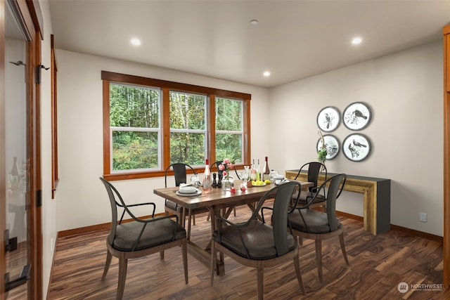 dining area featuring dark hardwood / wood-style flooring