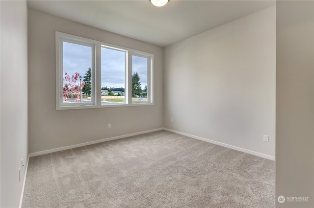 unfurnished room featuring light colored carpet