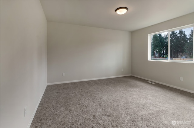 spare room featuring carpet