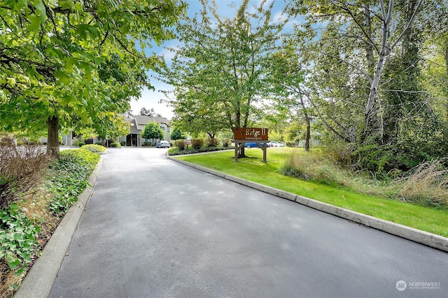 4232 Wintergreen Cir Unit 160, Bellingham, WA 98226 - view of asphalt driveway with curbs