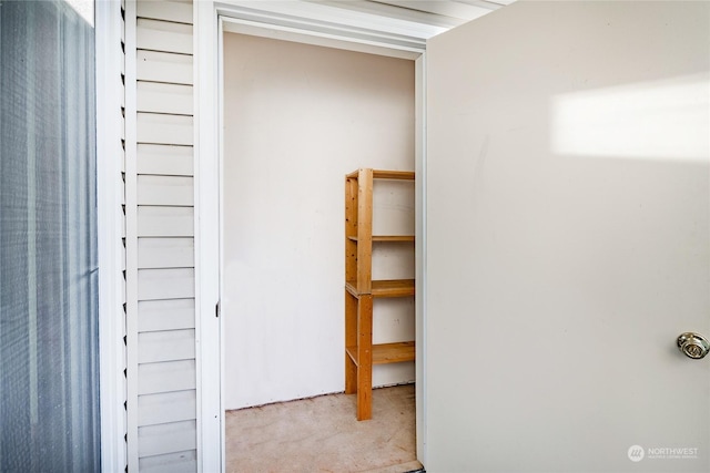 4232 Wintergreen Cir Unit 160, Bellingham, WA 98226 - view of closet