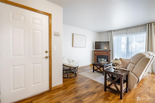 4232 Wintergreen Cir Unit 160, Bellingham, WA 98226 - living area with wood finished floors, a glass covered fireplace, and baseboards