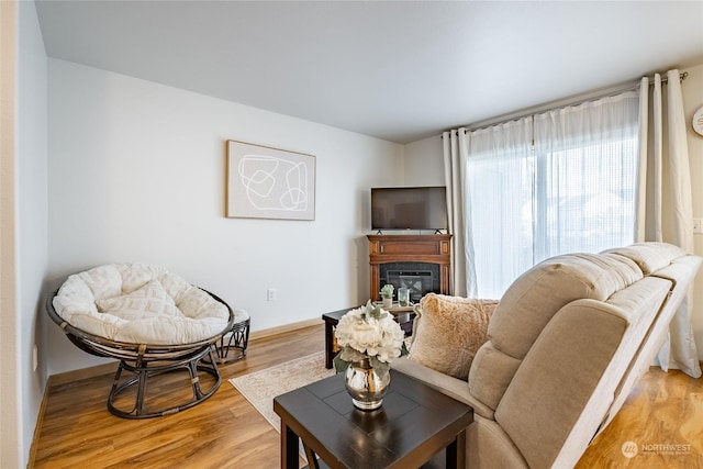 4232 Wintergreen Cir Unit 160, Bellingham, WA 98226 - living room featuring light wood finished floors, a glass covered fireplace, and baseboards