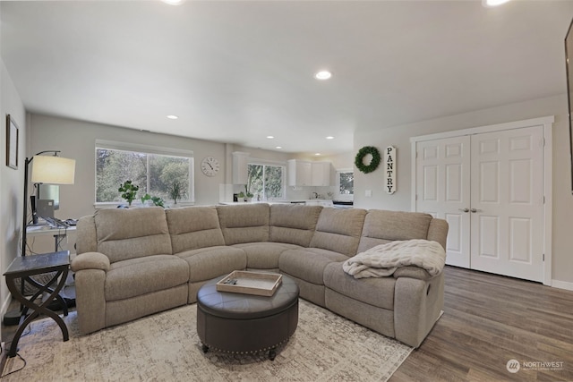 living room with hardwood / wood-style flooring