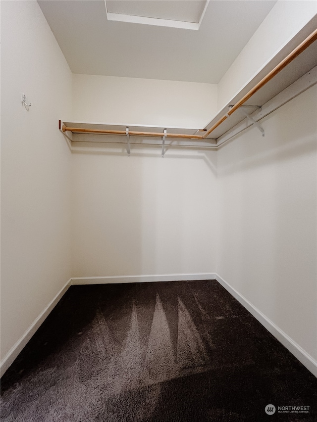 spacious closet with carpet floors