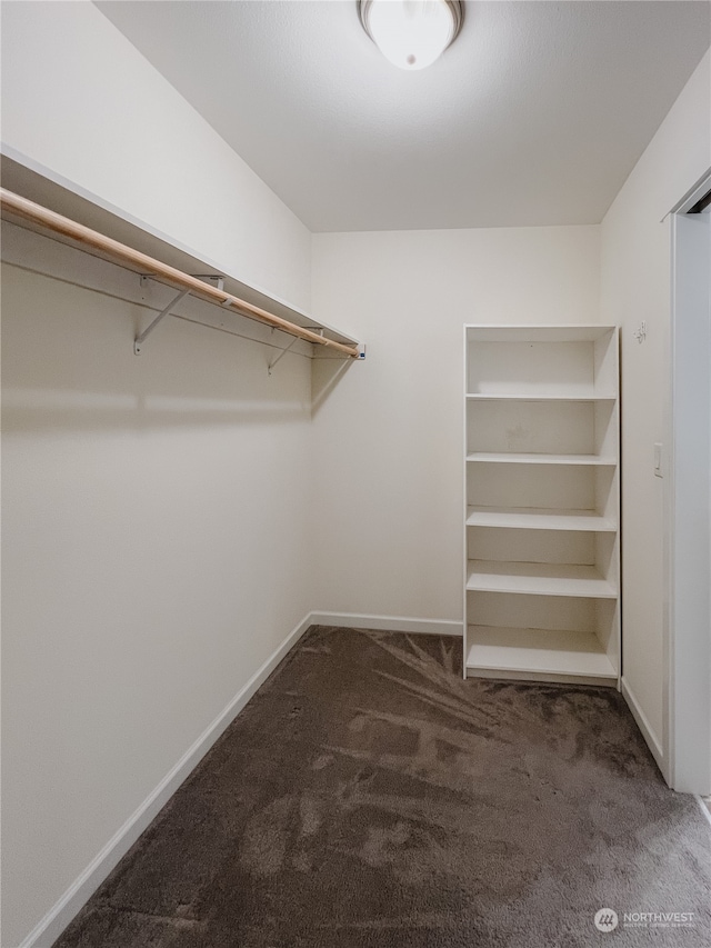 walk in closet with dark carpet