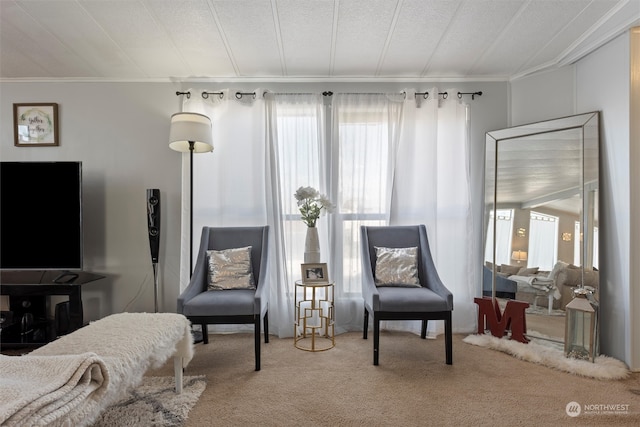 sitting room with ornamental molding, carpet floors, and a textured ceiling