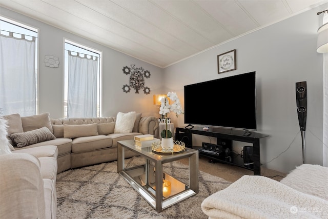 living room featuring crown molding and carpet