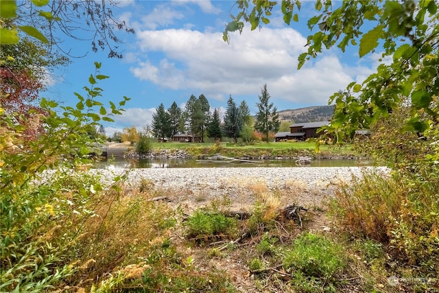 view of yard with a water view