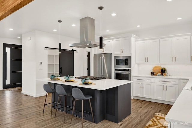 8721 Semiahmoo Dr, Blaine, WA 98230 - kitchen featuring appliances with stainless steel finishes, a barn door, light countertops, island exhaust hood, and a kitchen island