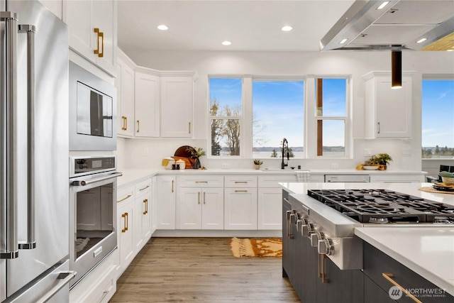 8721 Semiahmoo Dr, Blaine, WA 98230 - kitchen featuring light countertops, range hood, stainless steel appliances, and a sink