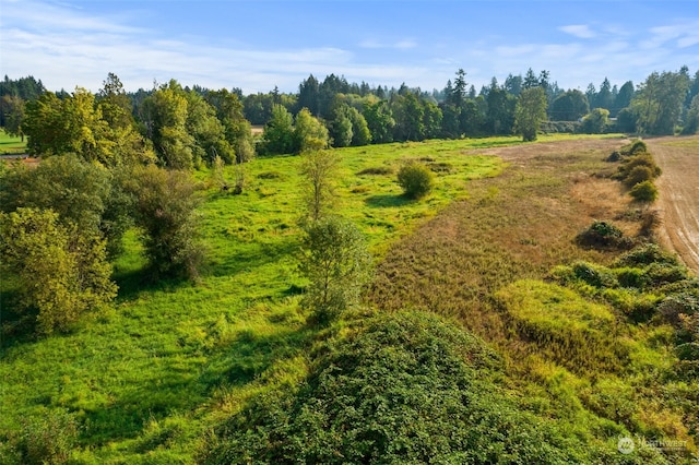 drone / aerial view featuring a rural view