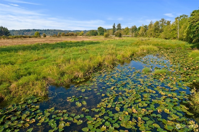 property view of water featuring a rural view