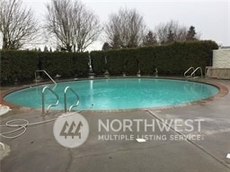 view of swimming pool with a patio area