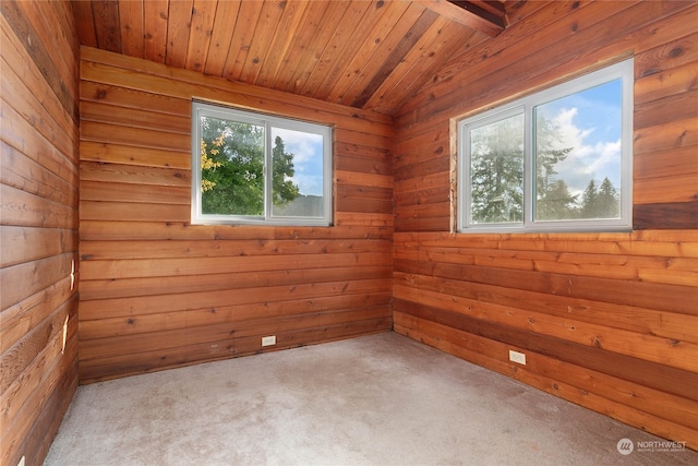 unfurnished room featuring lofted ceiling, wood walls, wood ceiling, and a wealth of natural light