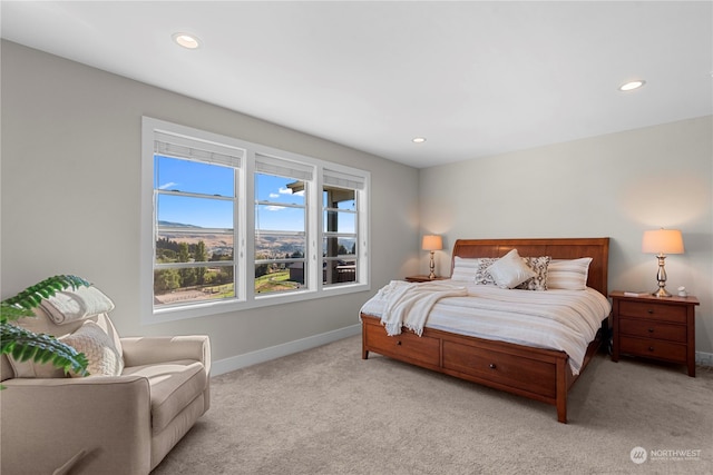 view of carpeted bedroom