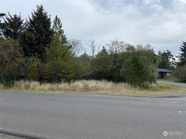 636 E Chance A La Mer NE, Ocean Shores, WA 98569 - photo 3