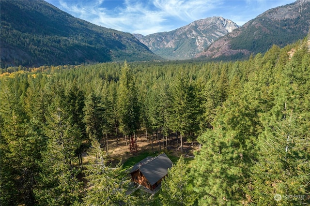 view of mountain feature with a wooded view