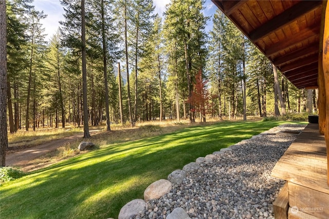 view of yard featuring a view of trees
