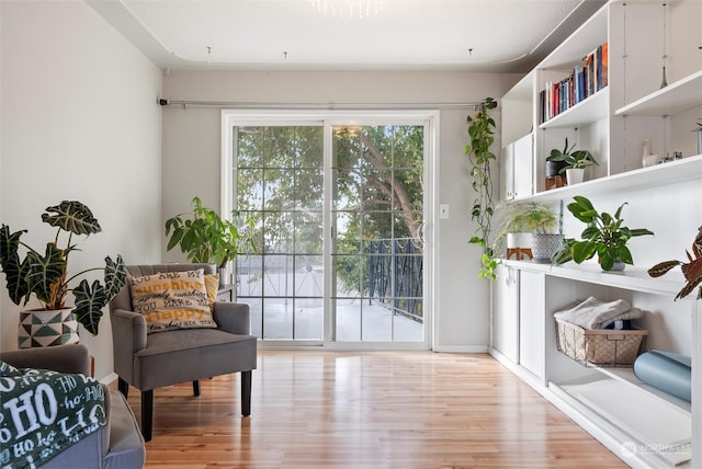 sitting room featuring light wood-type flooring