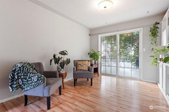351 Mocliff Rd, Ephrata, WA 98823 - living area featuring light wood-type flooring and baseboards