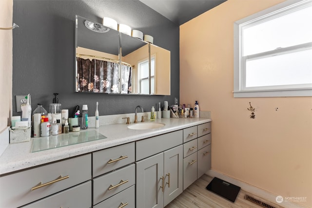 bathroom featuring hardwood / wood-style floors, vanity, and a healthy amount of sunlight