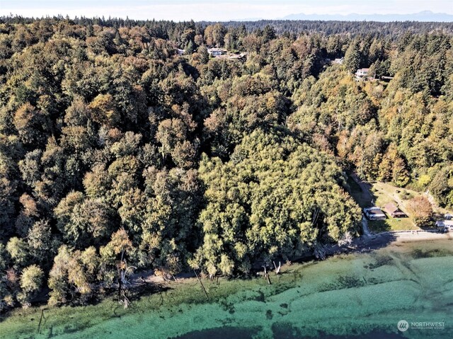 14801 13 Avenue Ct NW, Gig Harbor, WA 98332 - photo 13