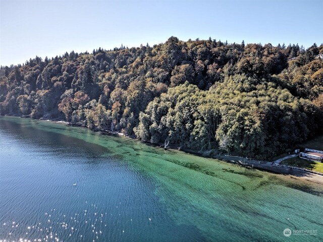 14801 13 Avenue Ct NW, Gig Harbor, WA 98332 - photo 18