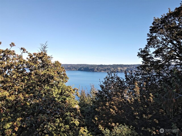 14801 13 Avenue Ct NW, Gig Harbor, WA 98332 - photo 27