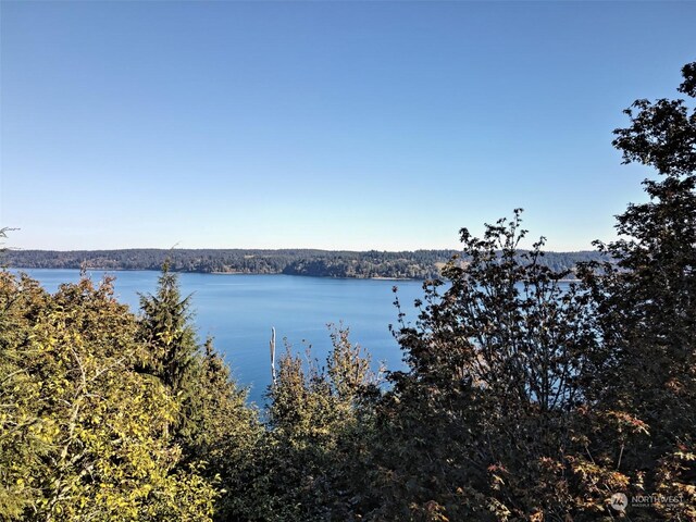 14801 13 Avenue Ct NW, Gig Harbor, WA 98332 - photo 28