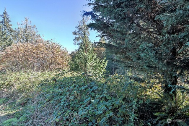 14801 13 Avenue Ct NW, Gig Harbor, WA 98332 - photo 30