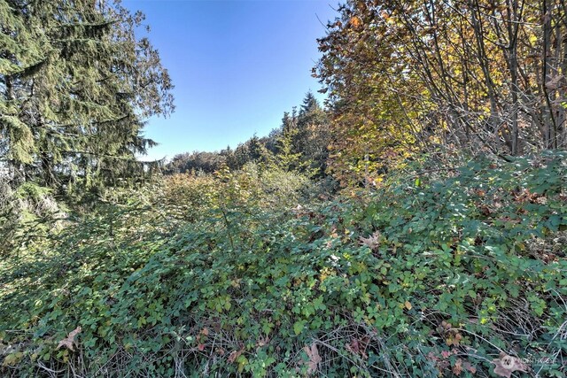 14801 13 Avenue Ct NW, Gig Harbor, WA 98332 - photo 31