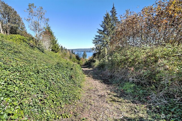 14801 13 Avenue Ct NW, Gig Harbor, WA 98332 - photo 32