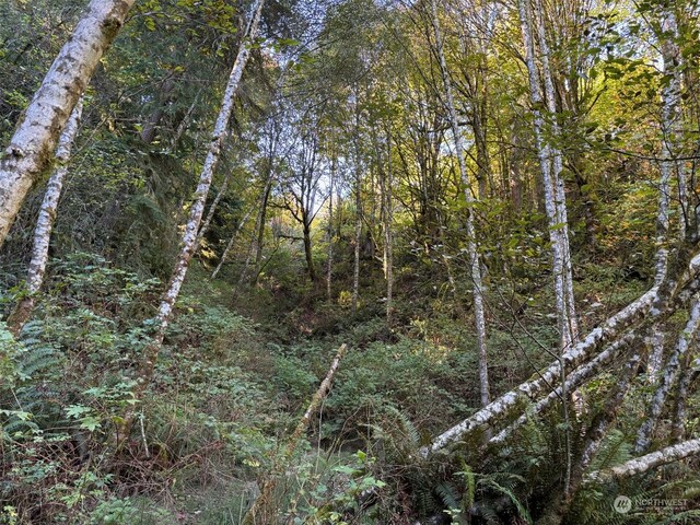 14801 13 Avenue Ct NW, Gig Harbor, WA 98332 - photo 34