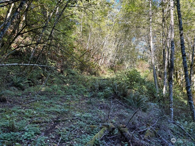 14801 13 Avenue Ct NW, Gig Harbor, WA 98332 - photo 35