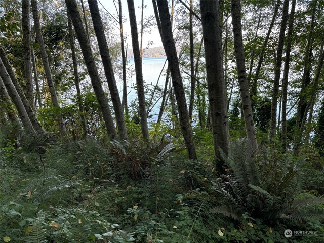 14801 13 Avenue Ct NW, Gig Harbor, WA 98332 - photo 37