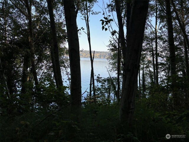 14801 13 Avenue Ct NW, Gig Harbor, WA 98332 - photo 38