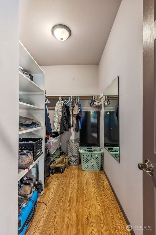 walk in closet with wood-type flooring