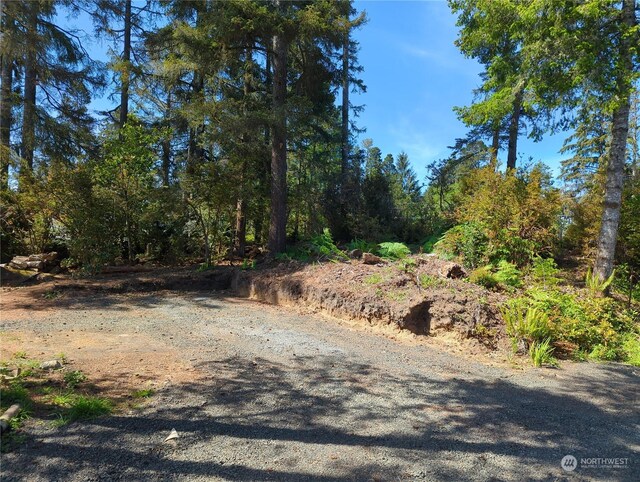 2100 266th Pl, Ocean Park, WA 98640 - photo 4